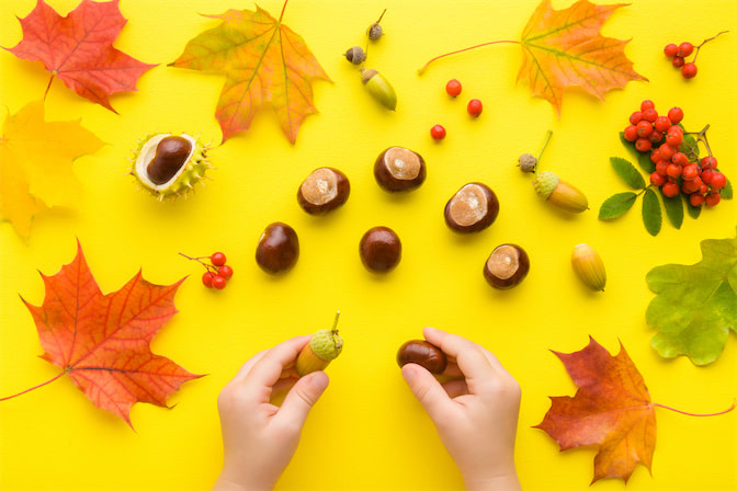 秋生まれ赤ちゃんの名付け329選 秋のイメージから男の子 女の子の名前を考えよう Baby Mo ベビモ